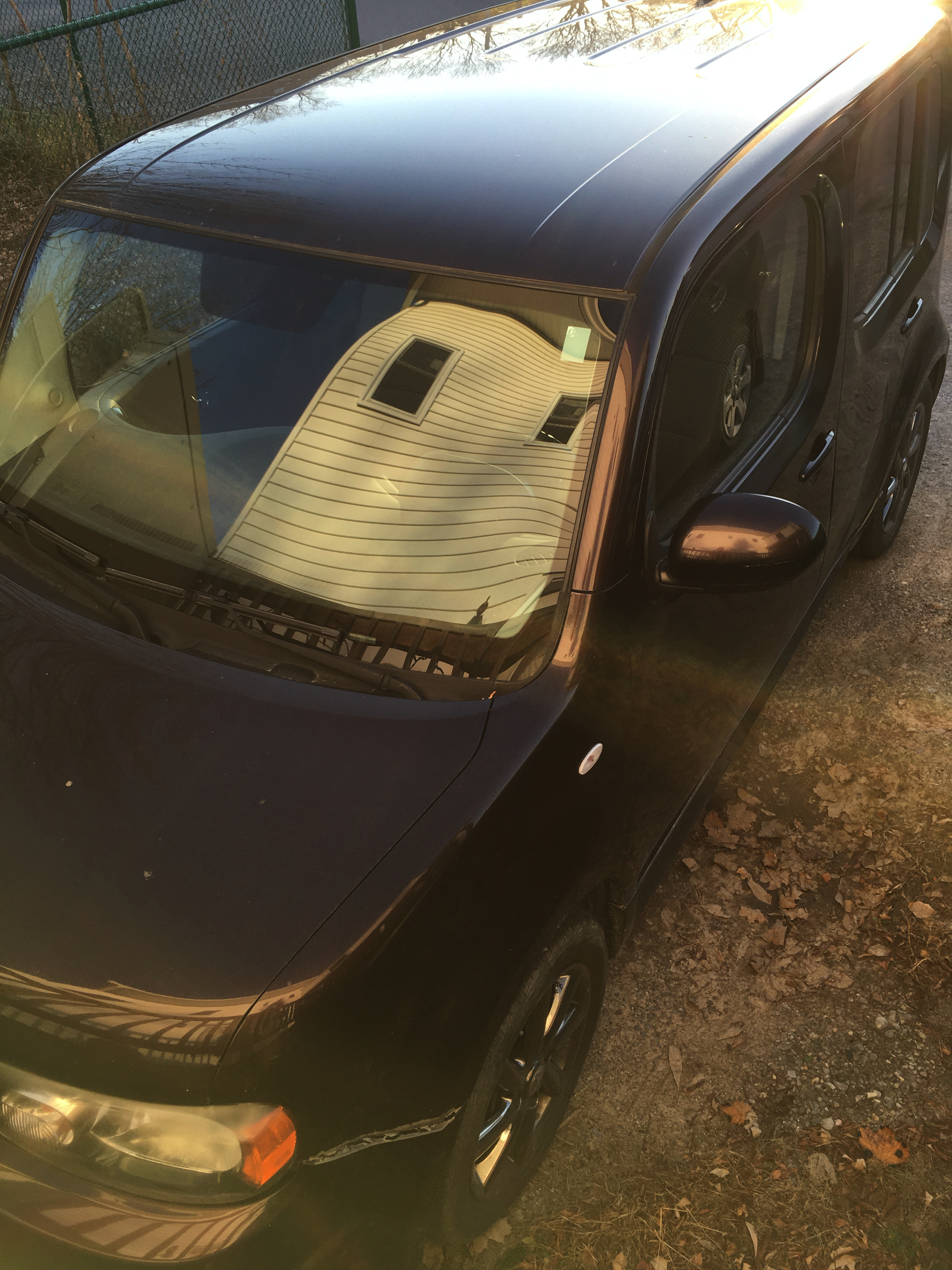 Copyright Leigh Symonds