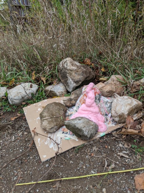 Copyright Leigh Symonds